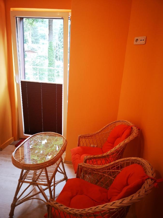 Pod Gadajacym Kotem Homestay *