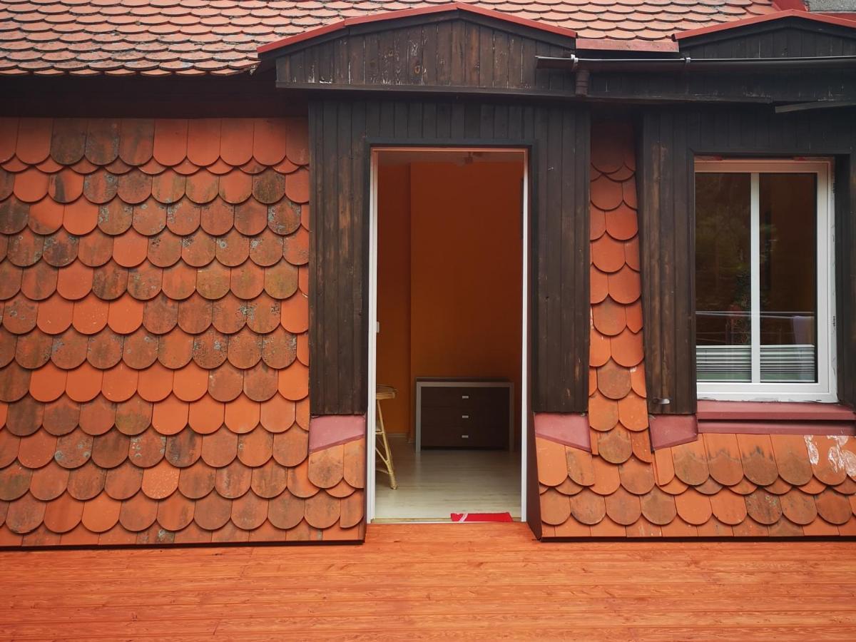Pod Gadajacym Kotem Homestay