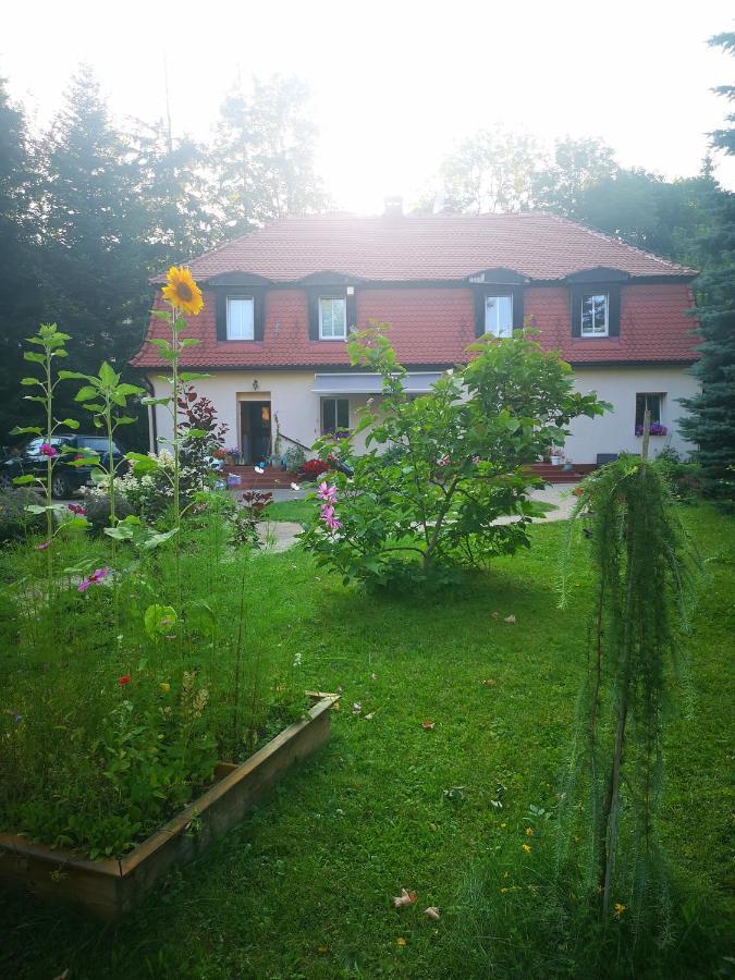 Pod Gadajacym Kotem * Długopole-Zdrój